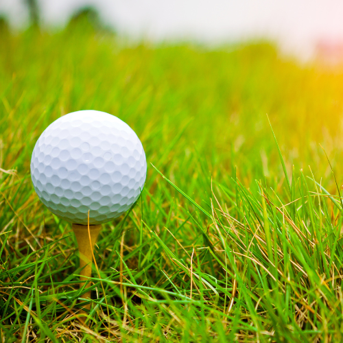 Golf Courses Itasca County